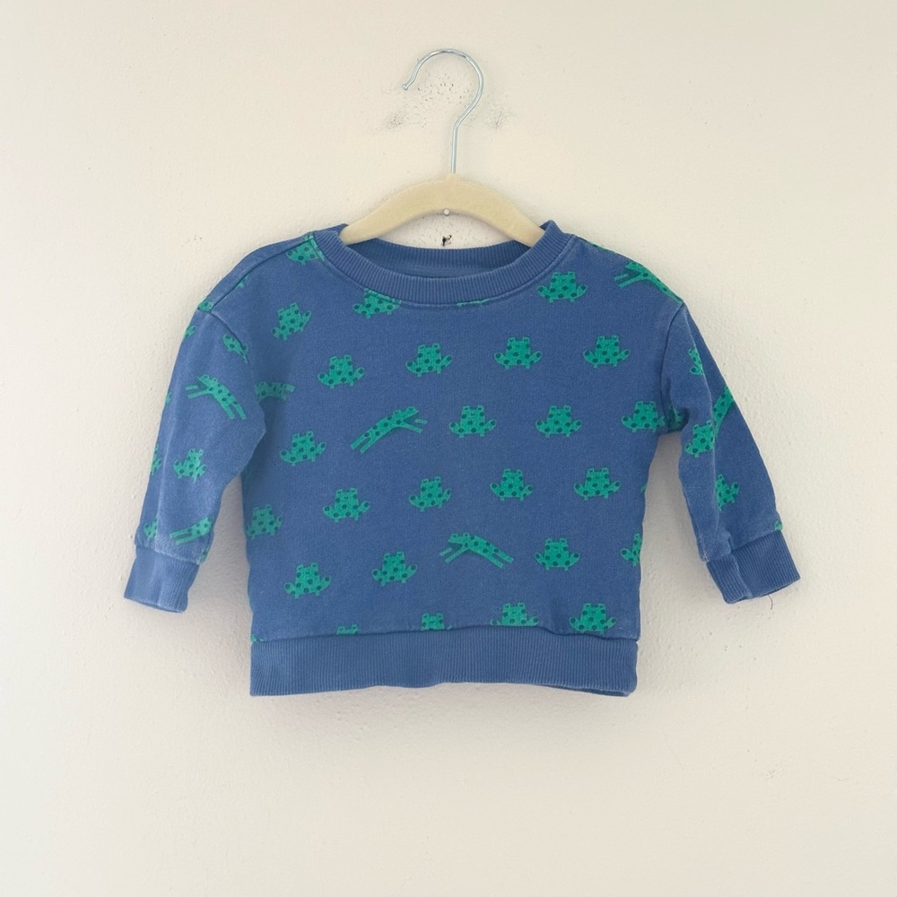 Hanna Andersson Blue and Green Frog Sweatshirt